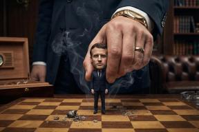 Отсутствие духа: на чём основывается знаменитая европейская «законопослушность»?