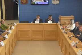 В Заксобрании Иркутской области обсудили новые требования к родовспоможению