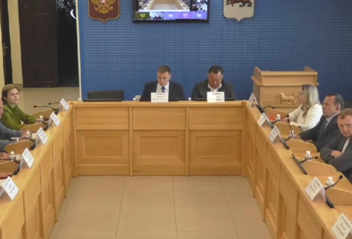 В Заксобрании Иркутской области обсудили новые требования к родовспоможению