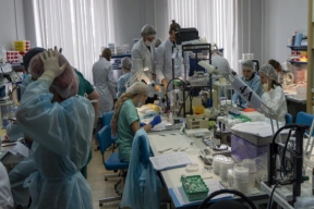 Состояние мышиного «экипажа» из приземлившегося в Оренбуржье биоспутника исследовали ученые