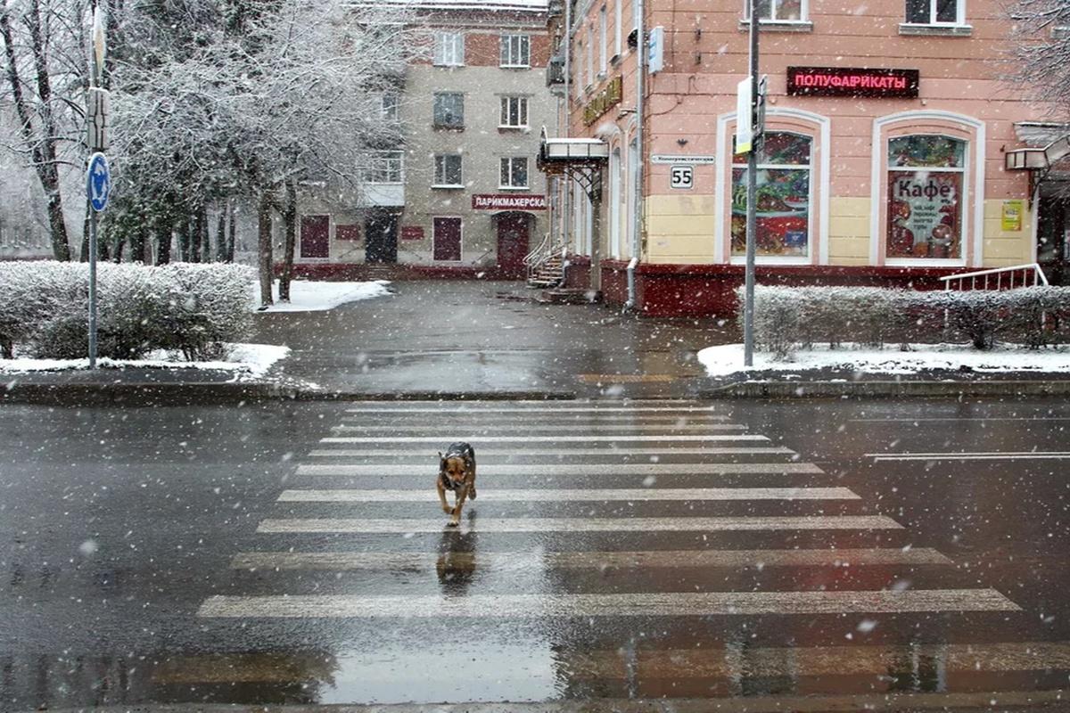 На ближайшую неделю в Тверской области установятся зимние холода