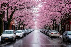 Апрель подведет черту: от +17 до минуса за четыре дня