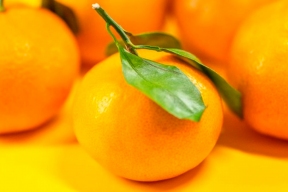 Muscovites will be able to give mandarins to the needy as part of the action at fairs