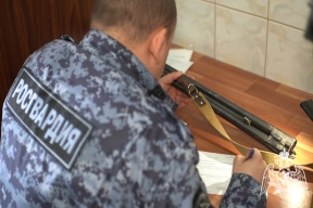 Во Владимирской области за добровольную выдачу нелегального оружия и боеприпасов назначена компенсация