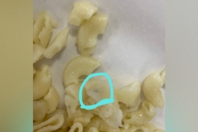 Челябинскую школу проверят из-за жалоб на еду с плесенью