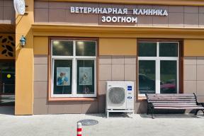 Когда пациент не может сказать, что болит: как в ветеринарных клиниках спасают жизни