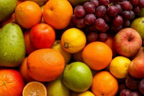 Россиянам объяснили, какие продукты следует избегать из-за вируса Нипах