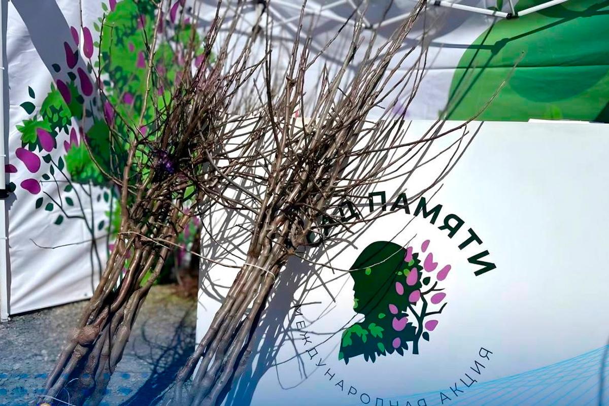 Рашид Темрезов: В Карачаево-Черкесии в апреле высадят более 10 тыс. деревьев в рамках акции «Сад памяти»