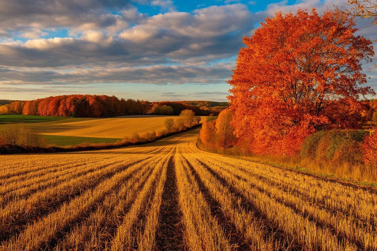 Калининградский аграрий наказан рублем за нарушение правил химической обработки полей