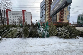 Елочные базары убрали с улиц Челябинска