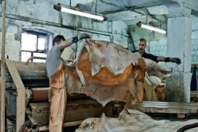 Стало известно, почему в Дагестане закрыли завод по выделке шкур