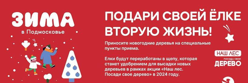 Жители Пущино смогут принять участие в экоакции «Подари вторую жизнь своей елке»