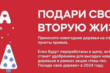 Жители Пущино смогут принять участие в экоакции «Подари вторую жизнь своей елке»