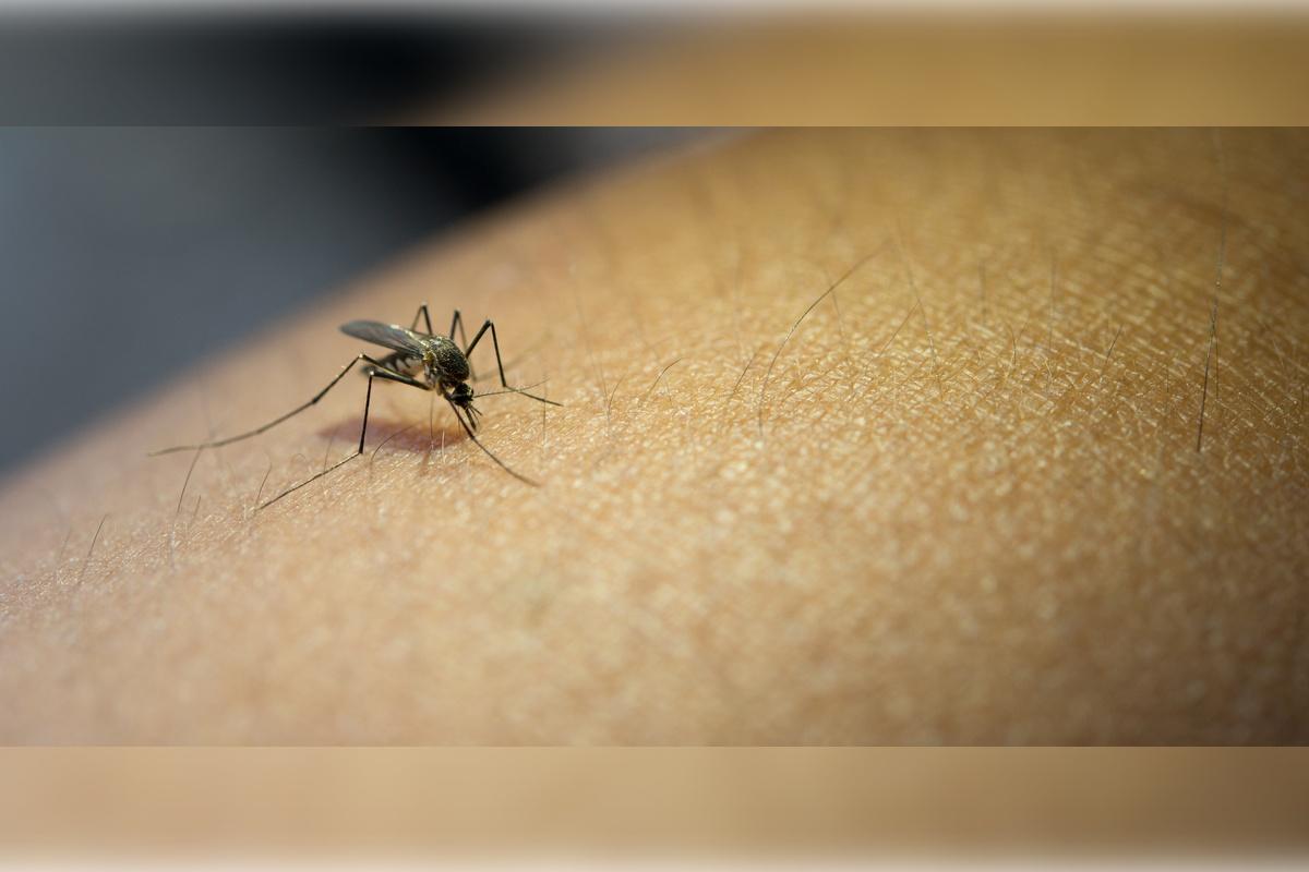 Врач из Саратова посоветовала, как избежать укусов насекомых