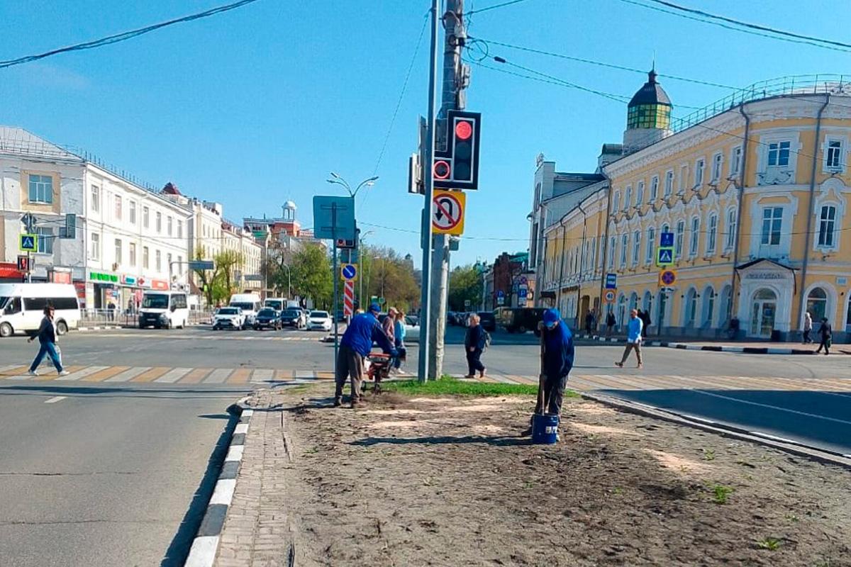Минерал вместо удобрений: в Ульяновске обогащают цветочные площадки цеолитом
