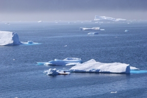 Ученые придумали проекты для развития Арктики на форуме «Полюс»