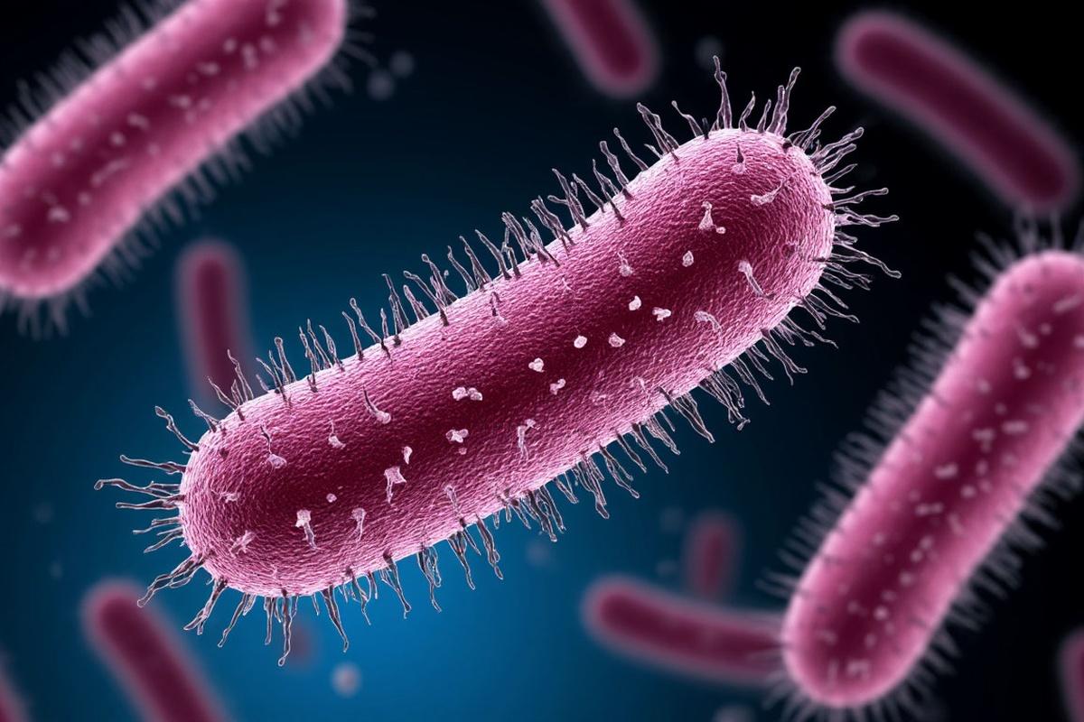 Ученые «Росбиотеха» научились выявлять спящие бактерии в продуктах питания