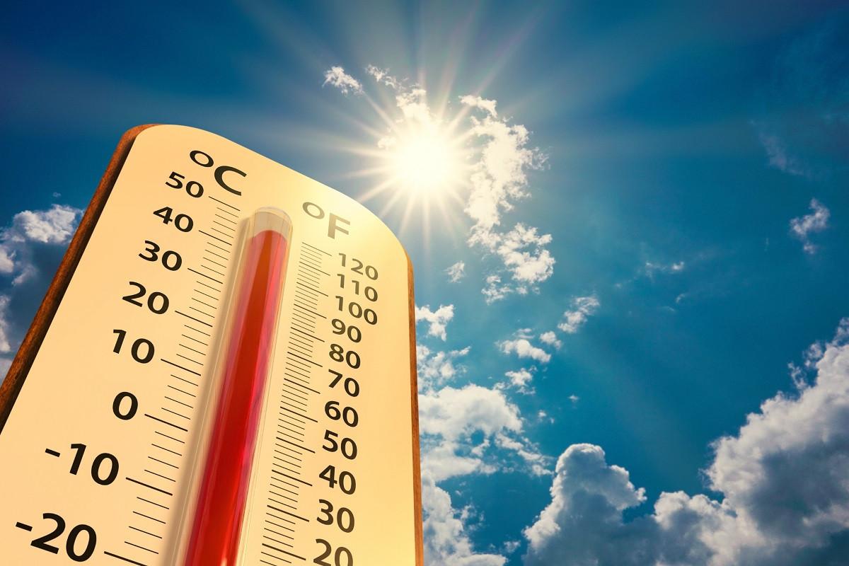 В Ростовской области объявили экстренное предупреждение из-за жары в 42 градуса