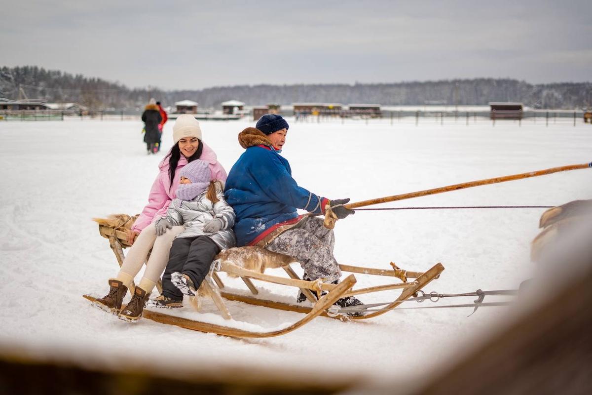 Руслан Заголовацкий: Покормить северных оленей и прокатиться на упряжке можно на ферме в Анциферово