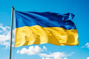 Украинский историк поставила под сомнение заявление Зеленского о потерях ВСУ