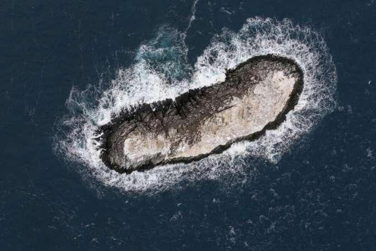 «Грязный айсберг» оказался неизведанной землей: ученые нашли в Антарктиде остров, которого нет на картах