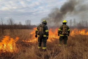В Томской области более чем в полтора раза увеличилось число лесных пожаров