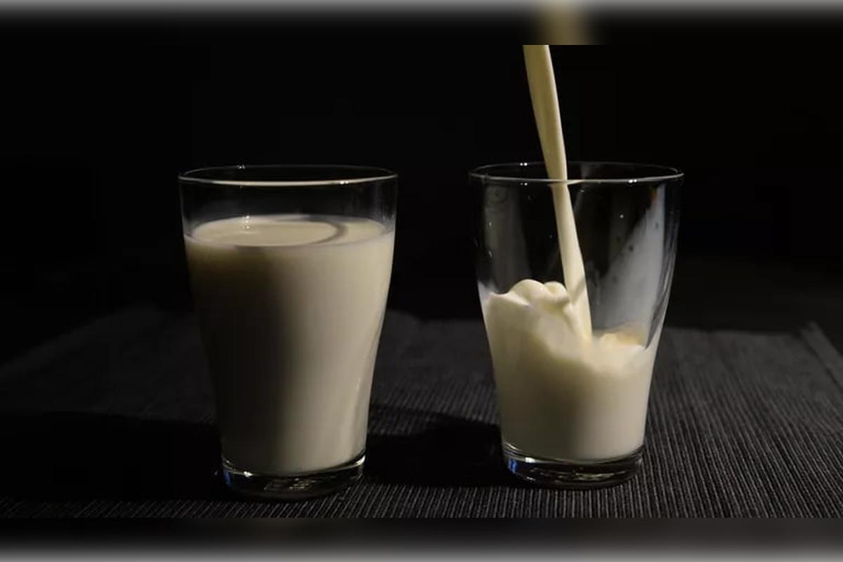 В российских сельхозорганизациях объем реализации молока вырос на 3%