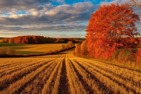 Чувашские аграрии наращивают экспортные поставки растительной продукции за рубеж