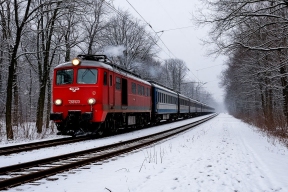 Цена в 500 рублей: почему россияне продолжают гибнуть под колесами поездов