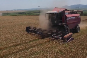 Махмуд-Али Калиматов: Экспорт продукции АПК Ингушетии в 2025 году превысил плановые показатели более чем в два раза