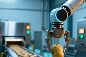 Ученые из Хунаньского университета создали модель ИИ YOLO-MTP для проверки картофеля