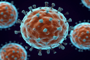 В России не зарегистрировано случаев заражения вирусом Нипах