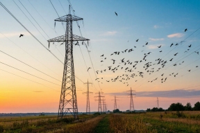 На ЛЭП в Новосибирской области установили 550 защитных устройств для птиц