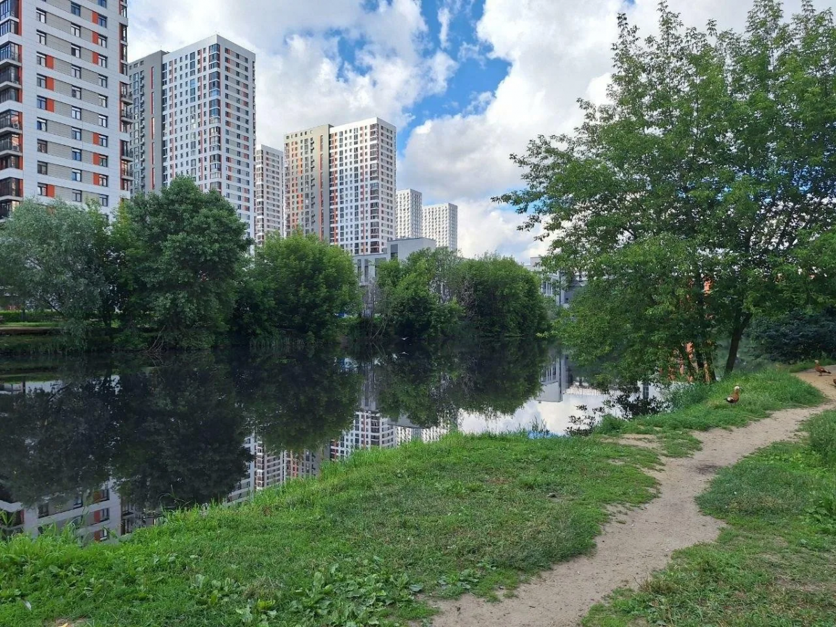 В Котельниках проверили состояние Опытных прудов после появления сообщений о загрязнении
