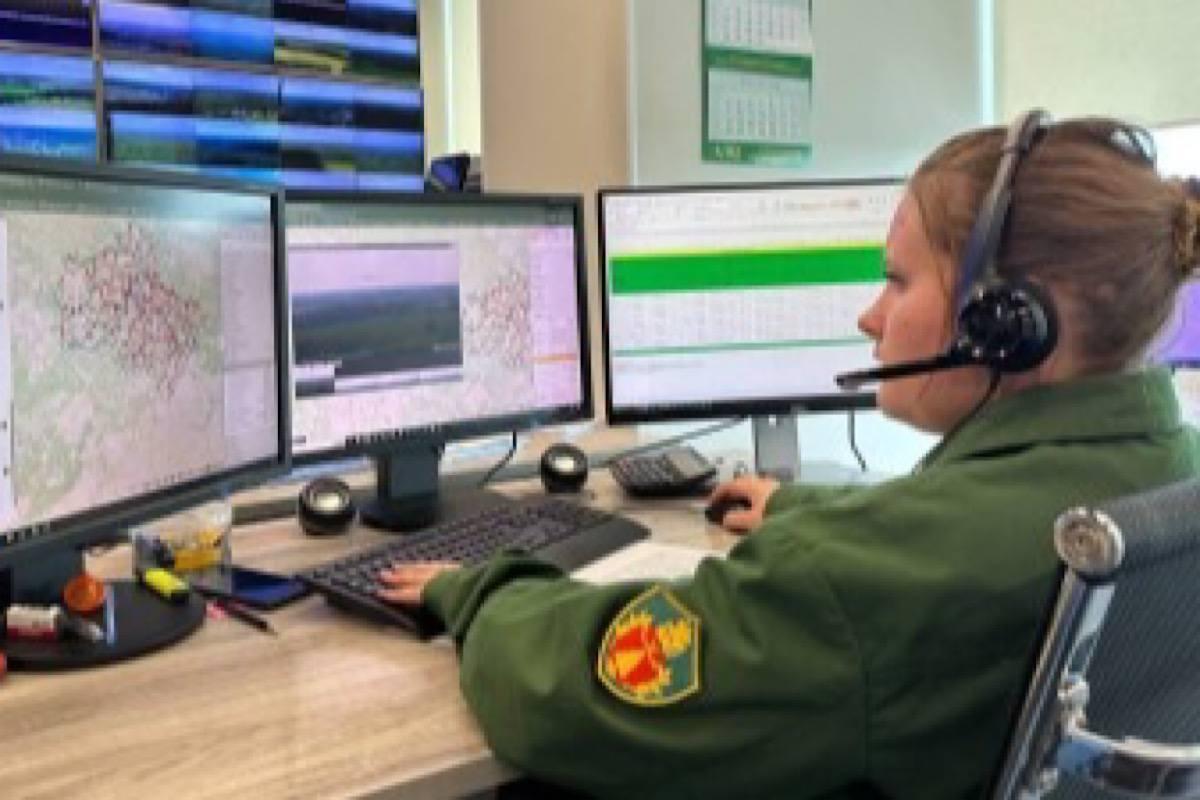 В Подмосковье в целях защиты в лесах установят новые камеры