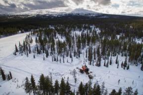 В Заполярье впервые обнаружили месторождение золота с запасами почти в шесть тонн