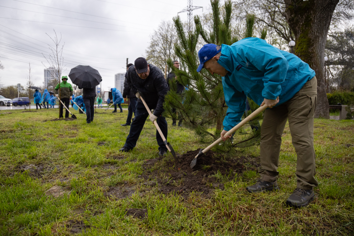 «Столица республики должна быть еще зеленее и комфортнее»: глава Адыгеи Мурат Кумпилов принял участие в высадке деревьев на территории лесопарка «Мэздах»