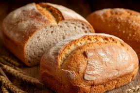 Вы едите хлеб и толстеете даже без переедания? Ученые выяснили, как организм тайно запасает жир