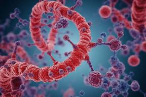 Обнаружена молекула РНК, которая может объяснить происхождение жизни на Земле