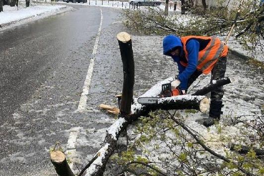 Москву и область замело: циклон «Илви» принёс снегопад, ветер и почти 400 поваленных деревьев