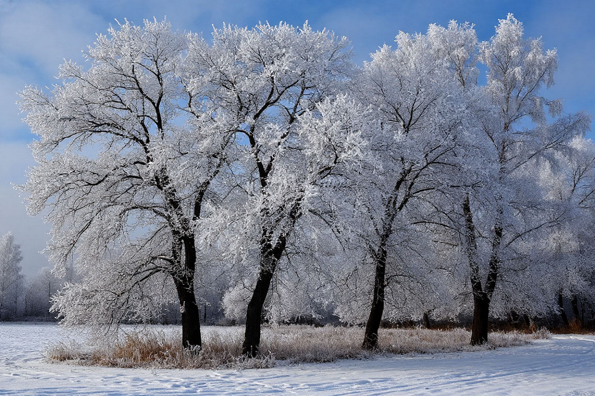 В Челябинске отменили занятия в школах