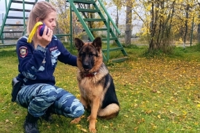 В полиции Магадана к службе приступили три необычных «правоохранителя»