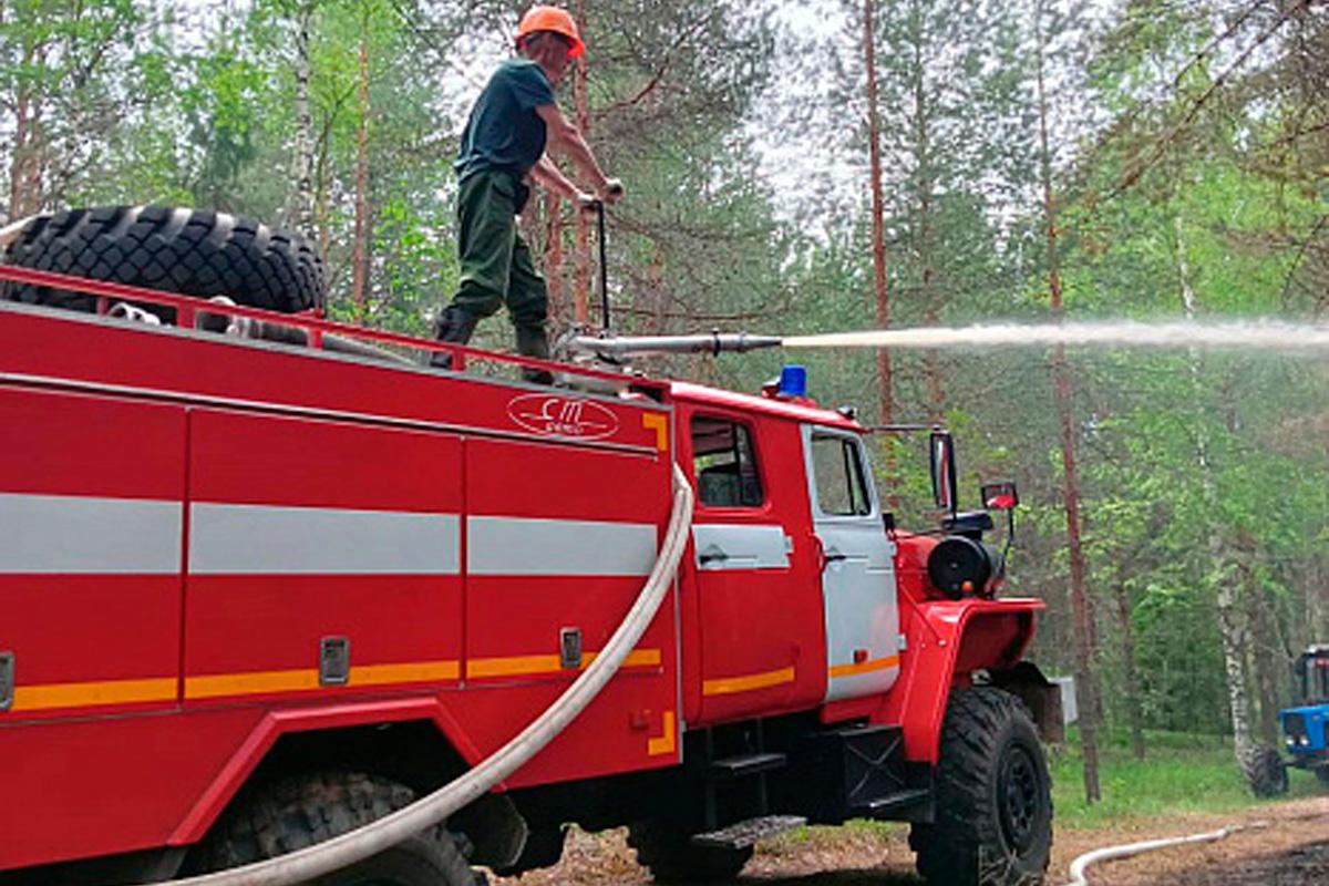 Жителям Кировской области напомнили о штрафах за нарушение пожарной безопасности в лесах
