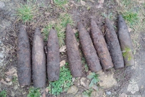 В хуторе Белгородской области нашли 14 артснарядов времен ВОВ