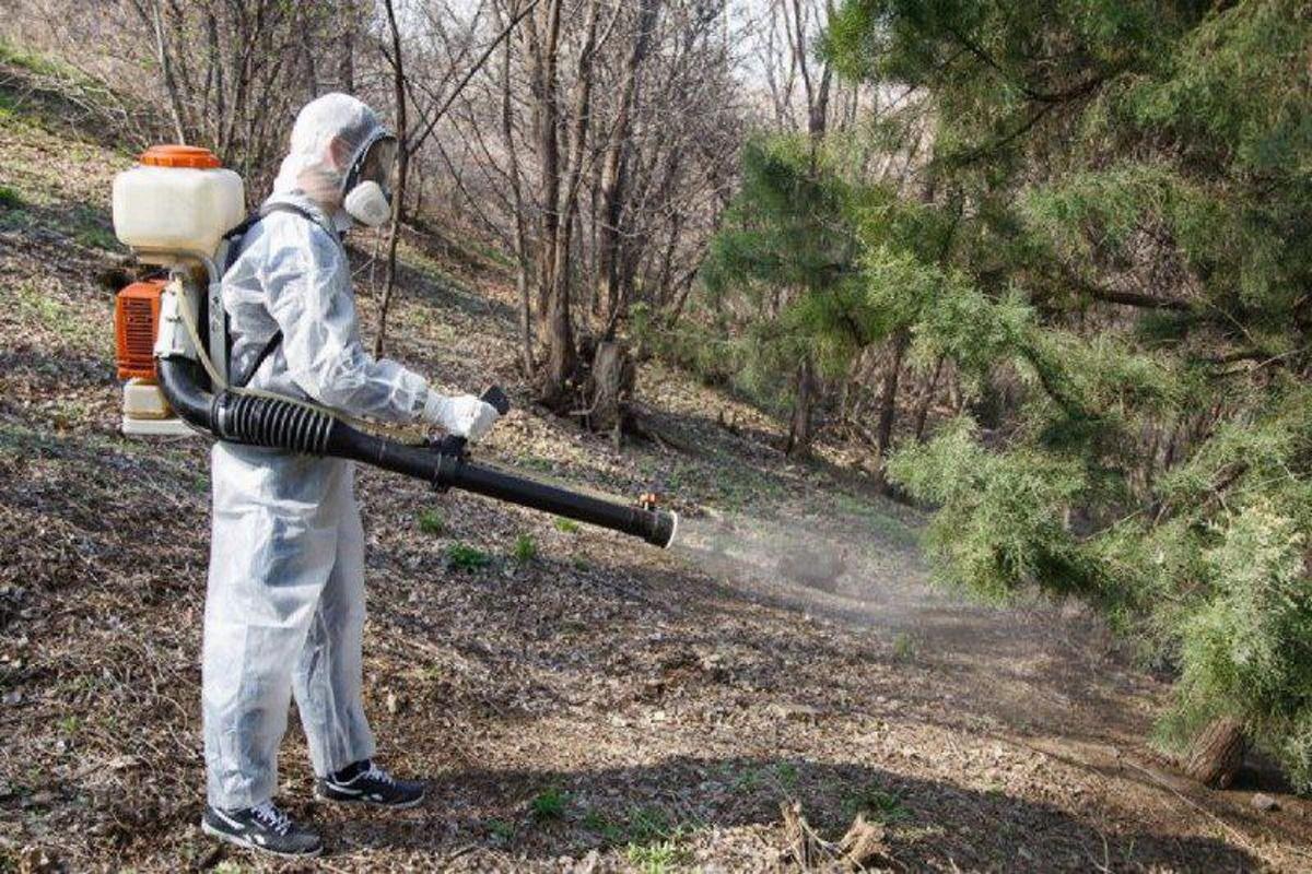 Началась массовая обработка от клещей зеленых зон Костромской области