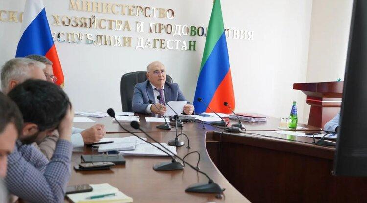 Дагестан засеял всего 2,5 тыс. га озимых: семян хватает лишь половине аграриев