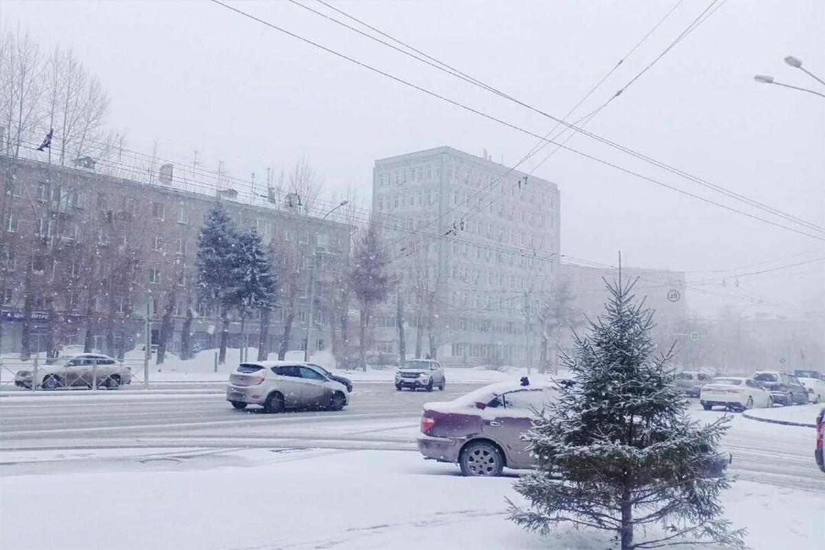 Новосибирских водителей с административным арестом обязали сдавать ДНК