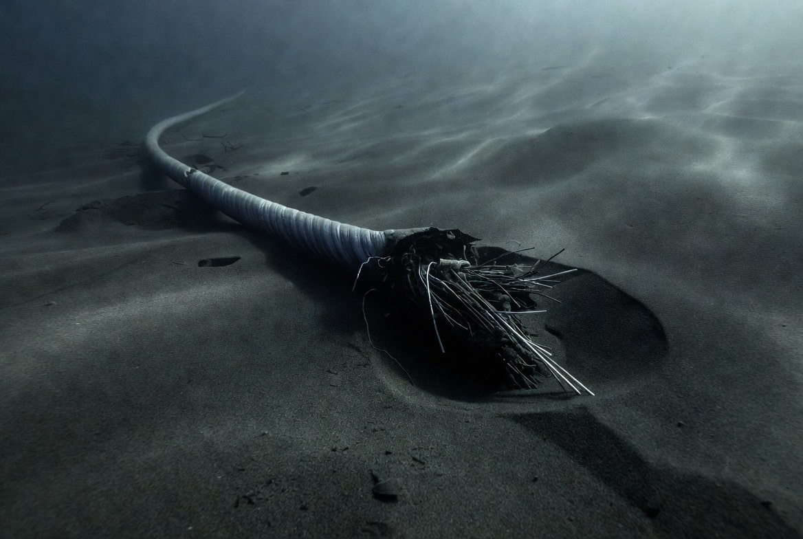 Повреждение подводного кабеля временно прервало энергоснабжение между Польшей и Швецией