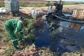 «Токсичное озеро» под Волгоградом: ущерб оценен в сотни тысяч рублей