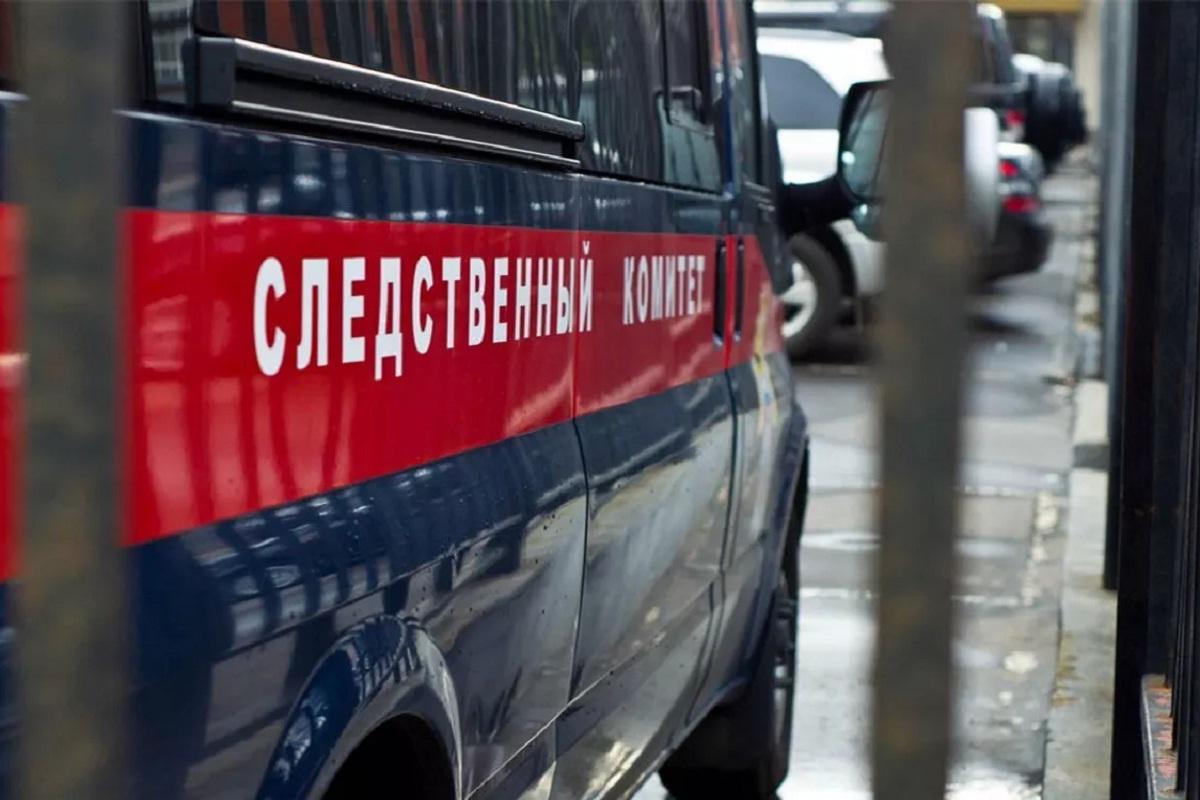 Бастрыкин заинтересовался делом о нападении собаки на ребенка в НСО